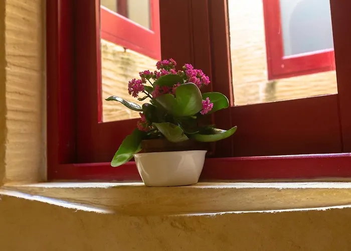 Case de vacanță Make A Splash! 3br Farmhouse, Pool & Country Views *